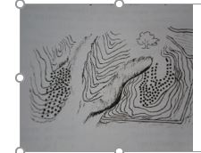 पहाडी भेगमा काल्ला